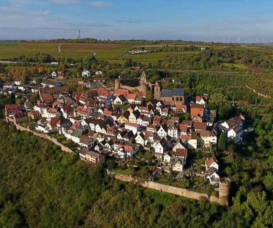 Landgasthaus "Zum Engel" Neuleiningen Eksteriør bilde